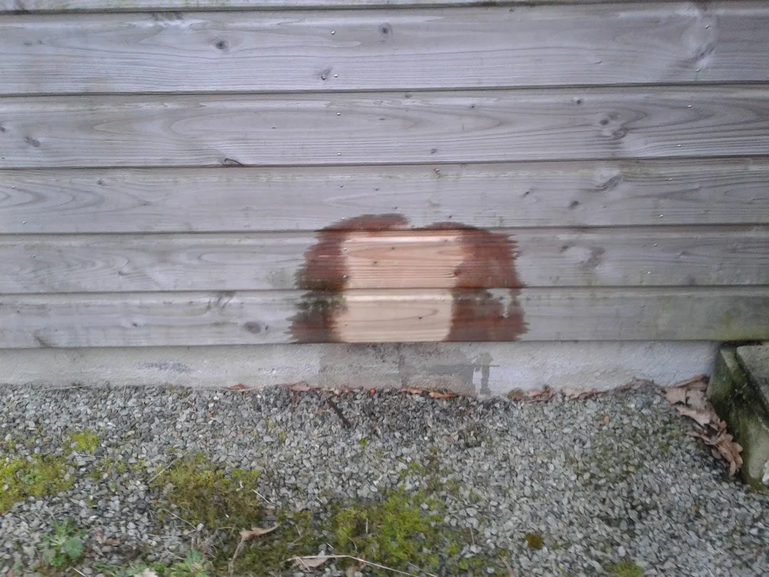 Nettoyage et dégrisement de bardage bois